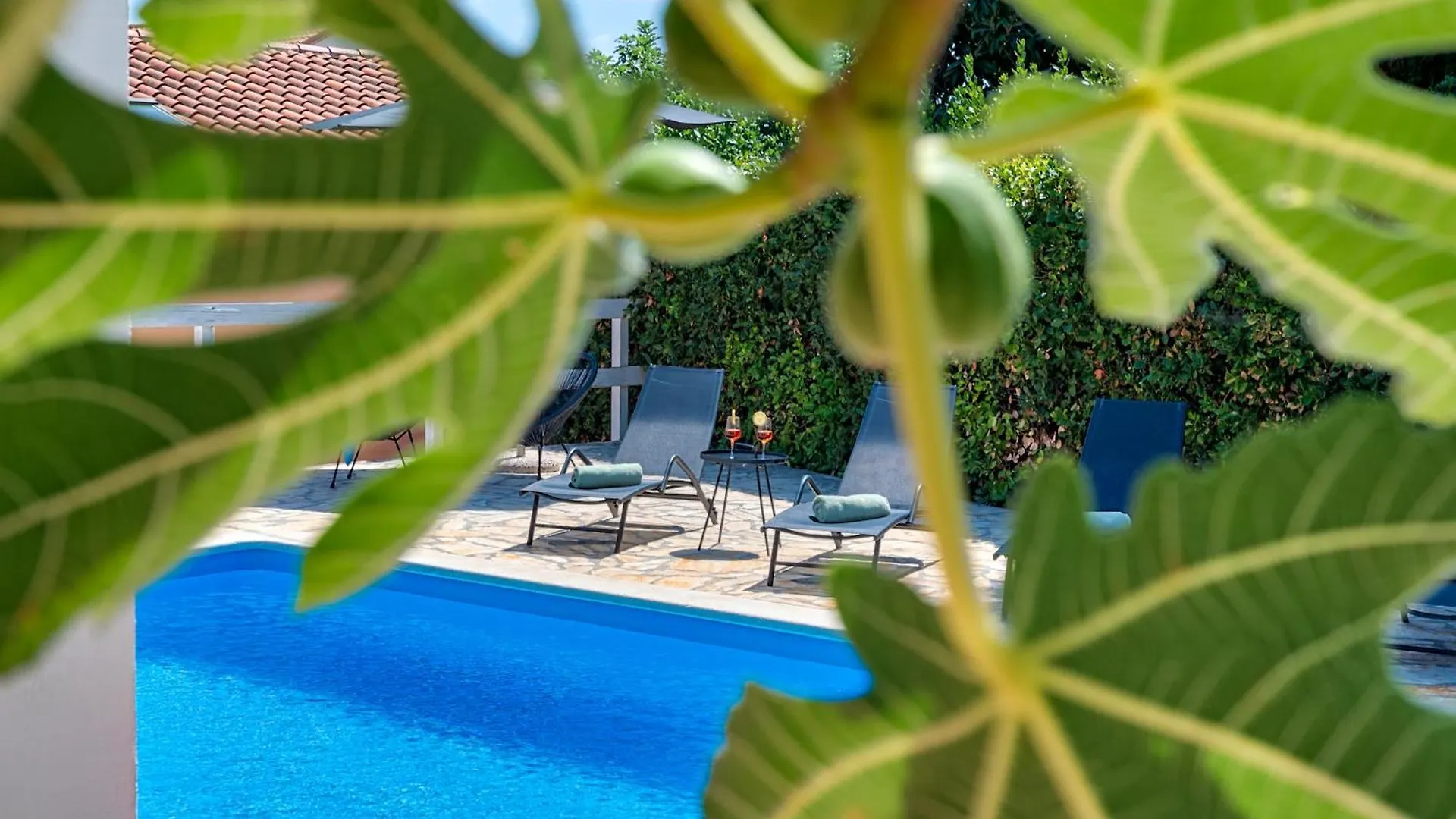 Villa Dante Medulin